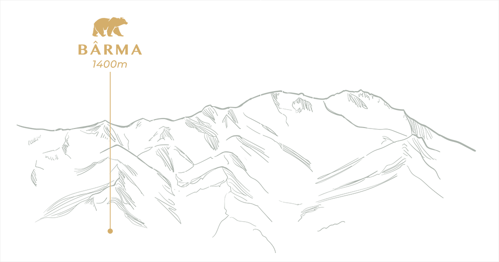 Barma