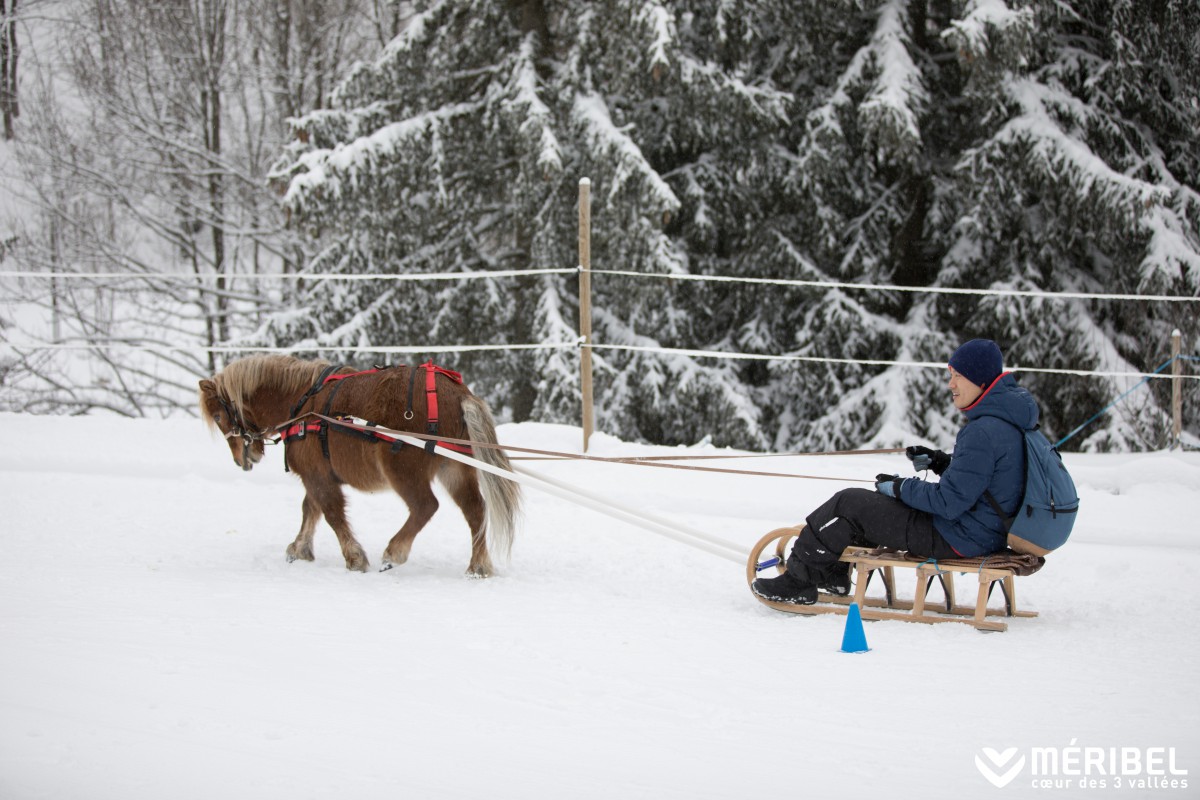 poney luge fun pony