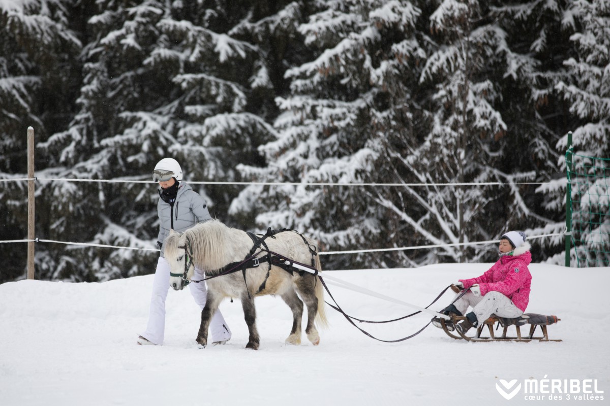 meribel activity famille luge poney